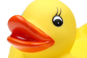 Image showing small yellow plastic duck