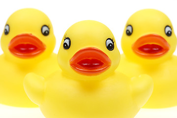 Image showing small yellow plastic ducks