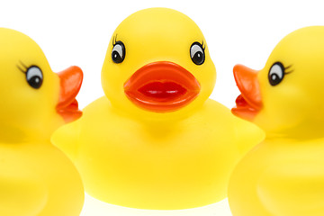 Image showing small yellow plastic ducks