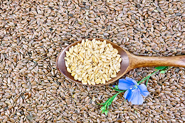 Image showing Linen seeds white in spoon with flower