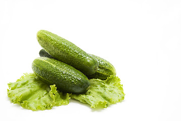 Image showing Cucumbers on lettuce