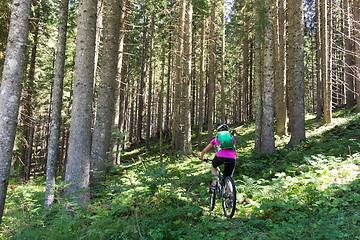 Image showing Active sporty woman riding mountain bike on forest trail .
