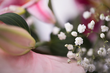 Image showing close up colorful flowers