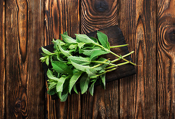 Image showing fresh mint