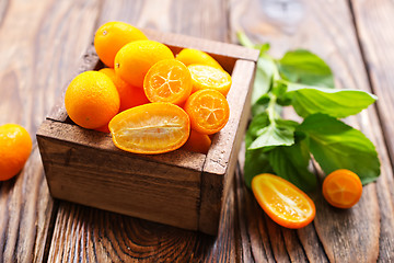 Image showing kumquat 