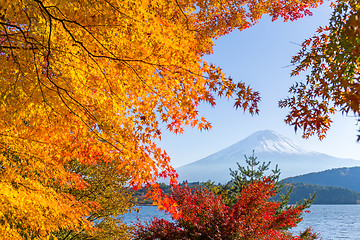 Image showing Mt.Fuji in autumn