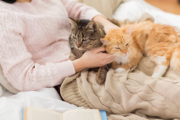 Image showing close up of owner with red and tabby cat in bed