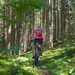 Image showing Active sporty woman riding mountain bike on forest trail .