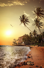 Image showing Coast in Sri Lanka