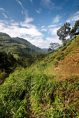 Image showing Landscape of Sri Lanka