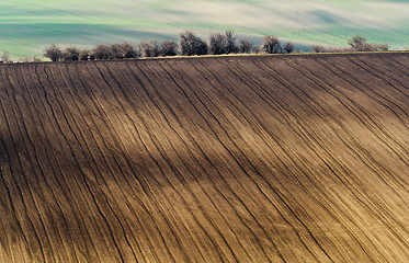 Image showing Spring landscape with brown and green field and trees