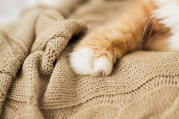 Image showing close up of red cat paw on knitted blanket