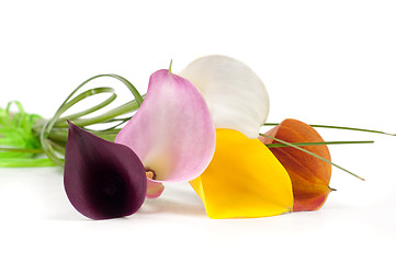 Image showing Calla Lilies flowers