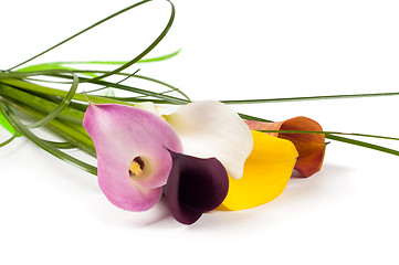 Image showing Calla Lilies flowers bouquet