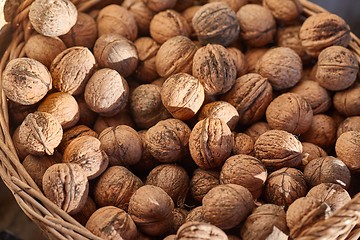 Image showing Walnuts in a pile