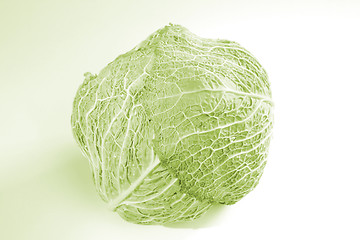 Image showing Green cabbage vegetable