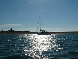 Image showing Evening Sail