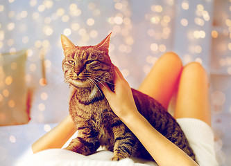 Image showing young woman with cat lying in bed at home