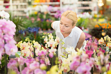 Image showing Beautiful lady smelling colorful blooming orchids.