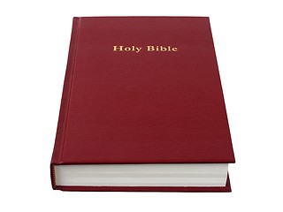 Image showing Holy Bible on white