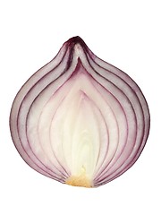 Image showing Red onion on white