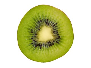 Image showing Kiwi slice on white