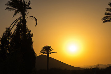 Image showing Golden Andalusian sunset