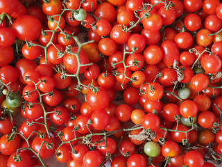 Image showing Cherry tomato vegetables