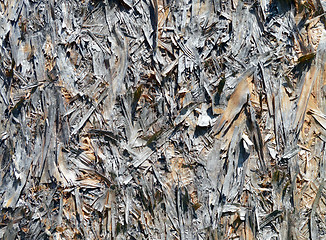 Image showing weathered wooden background