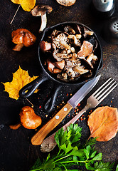 Image showing fried mushroom