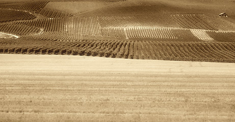 Image showing Country landscape