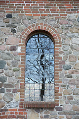 Image showing Tree reflection in a window. Uggeløse church in 2017