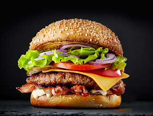 Image showing fresh tasty burger