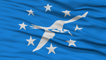 Image showing Closeup of Corpus Christi City Flag