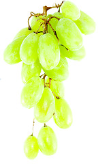 Image showing Bunch of Grapes