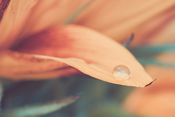 Image showing Macro shot of water drop