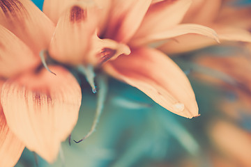 Image showing Macro shot of water drop