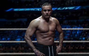 Image showing professional kickboxer in the training ring