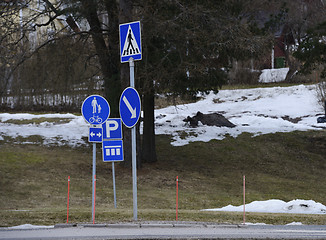 Image showing pedestrian crossing in the city