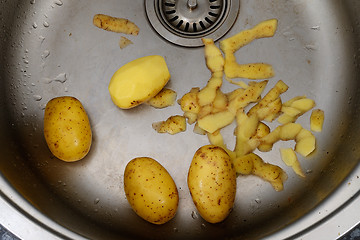 Image showing potatoes and potato peelings in the sink