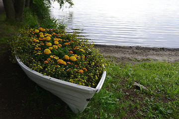 Image showing flower bed in a boat on the lake shore