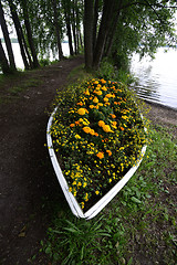 Image showing flower bed in a boat on the lake shore
