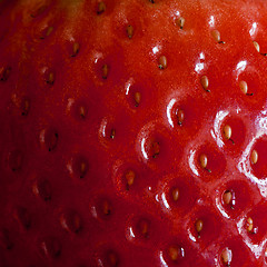 Image showing Closeup of garden strawberry