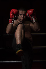 Image showing professional kickboxer in the training ring