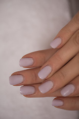 Image showing woman fingers with french manicure