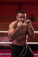 Image showing professional kickboxer in the training ring