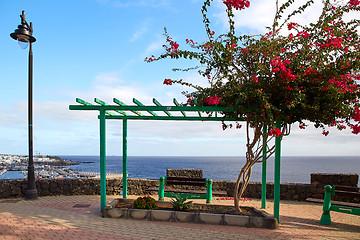 Image showing View point of Puerto del Carmen, Lanzarote Island