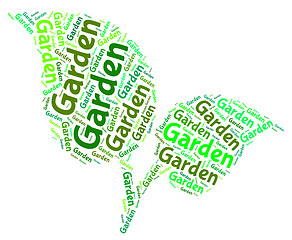 Image showing Garden Word Represents Words Outside And Lawns