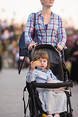 Image showing mother and daughter in flower garden