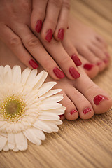 Image showing female feet and hands at spa salon